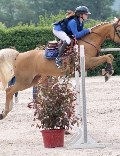 Compétition Chevaux Poneys - Centre Equestre près de Caen - Ecuries de l'Odon