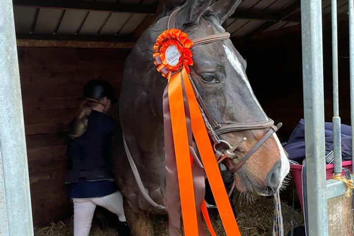 Compétition Chevaux Poneys - Centre Equestre près de Caen - Ecuries de l'0don