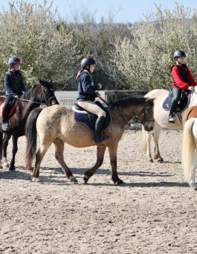 Cours loisirs de cheval près de Caen - Écuries de l'Odon